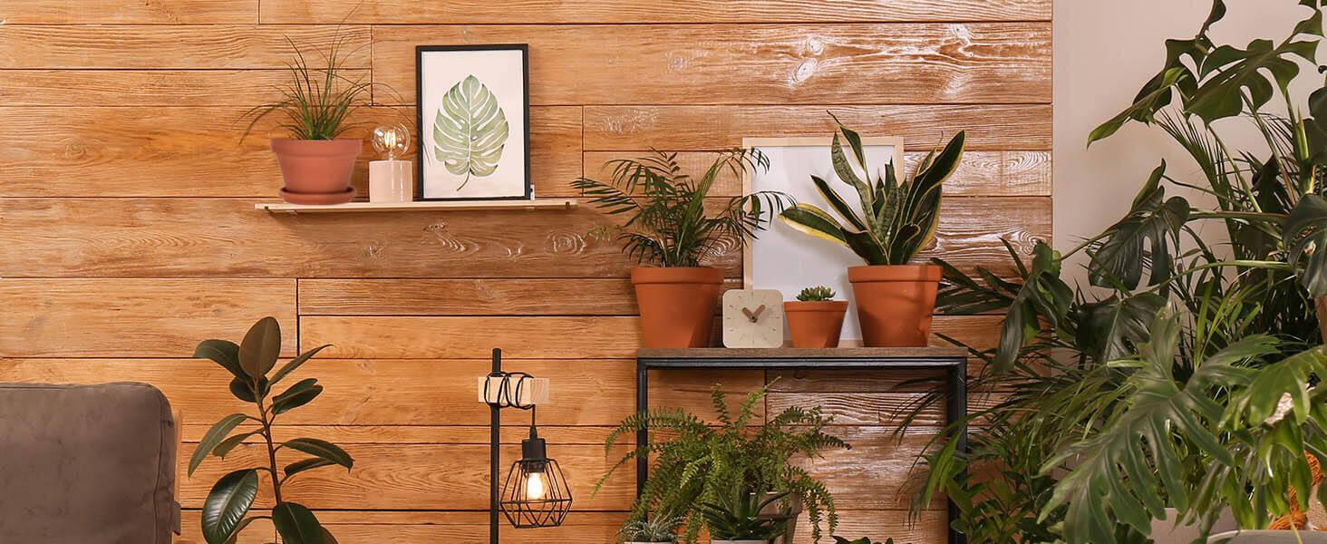 3 inch Terracotta Clay Pots for Plants with Saucer - 12 Pack Small Terra Cotta Planter Great for Garden Windowsill Indoor & Outdoor Wedding Favors Gifts