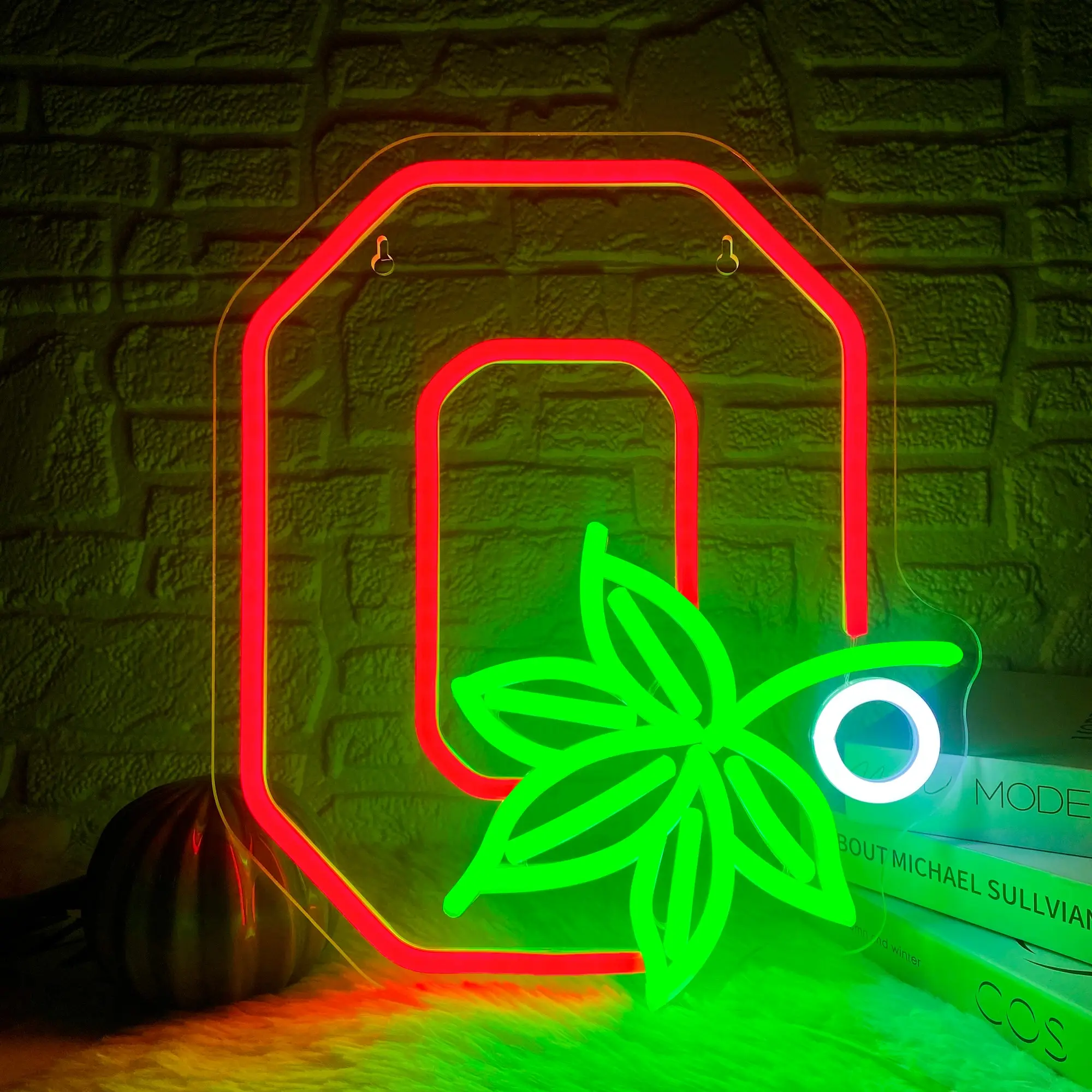 Ohio State Buckeyes Neon Sign, USB Plug Neon Sign, Novelty Lighting for College Dormitories, Bedrooms, Gifts for Fans