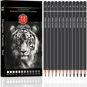 Sketch Pencils for Drawing, Set of 12 Drawing Pencils for Sketching Medium (6B - 4H), Artist Graphite Pencils, Sketch Set for Artists for Sketching Supplies, Art Supplies.
