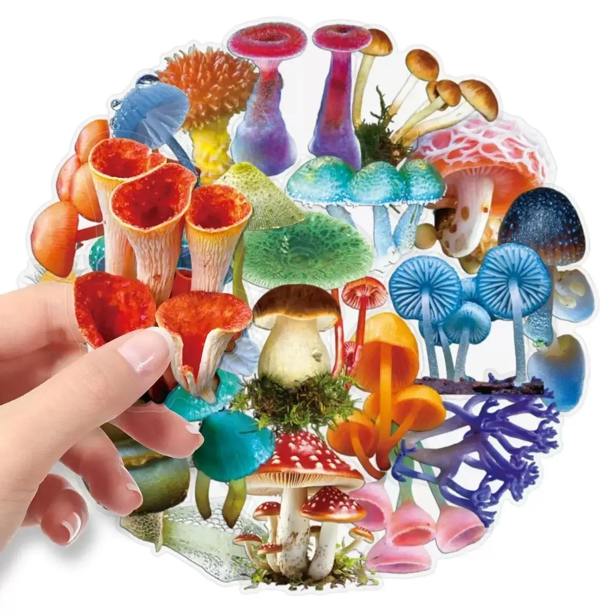 50Pcs Kawaii Forest Colorful Mushroom Stickers Transparent Nostalgia Cartoon Decals Laptops Luggage Diary Cool Guitar Motorcycle