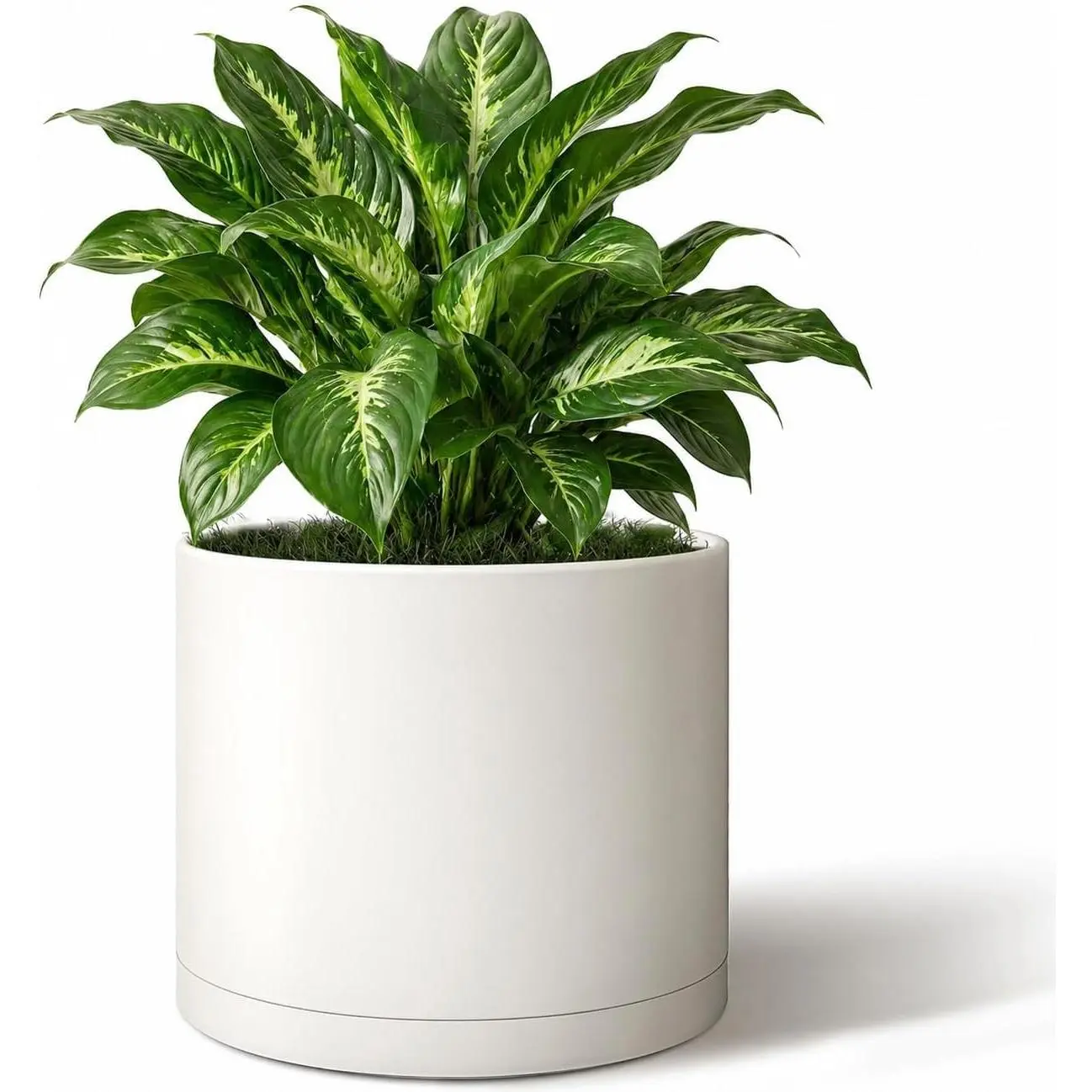 10 Inch Cylinder Plant Pot, Modern Round Planter with Drainage Holes and Saucer, Lightweight Plastic Flower Pot for Indoor Outdoor Plants, White