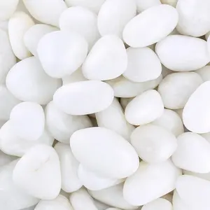 Pebbles for Indoor Plants, 2lbs White Pebbles 1-2 Inch Decorative River Rocks for Planters, High Polished Stones for Vase Filler Fish Tank Landscaping Garden