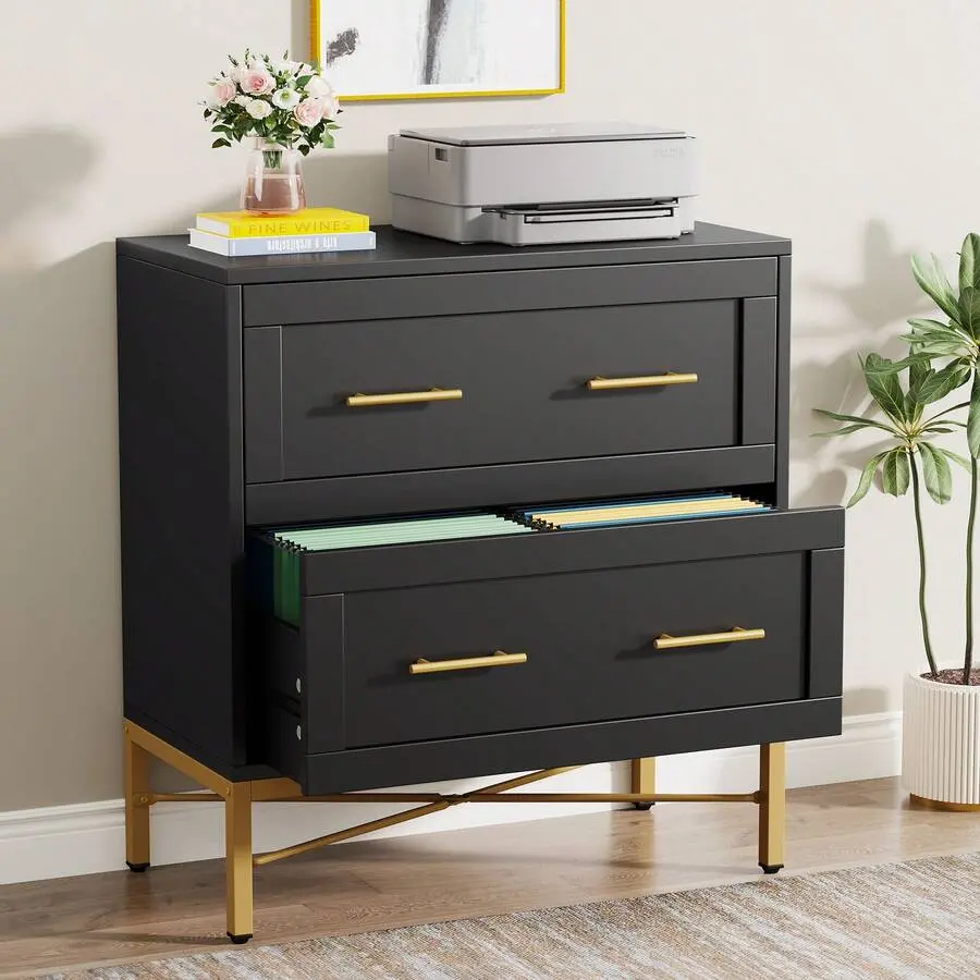 2 Drawer File Cabinet, Modern Lateral Filing Cabinet Letter/Legal/A4 Size, Large File Storage Cabinets Printer Stand With Storage Home, Office, White/Gold