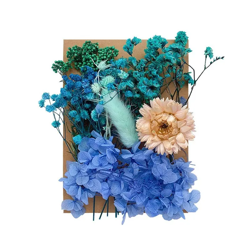 25 Dry Flowers Pressed Flower DIY Kit, Resin Dried Leaves Real Flowers Mixed Pack, Dry Flower Materials Plant Specimen Collection