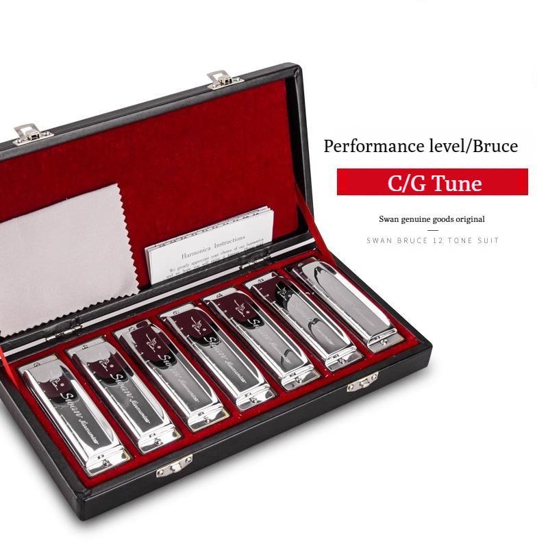 10 hole blues harmonica full scale blues CG key 20 tune harmonica beginner