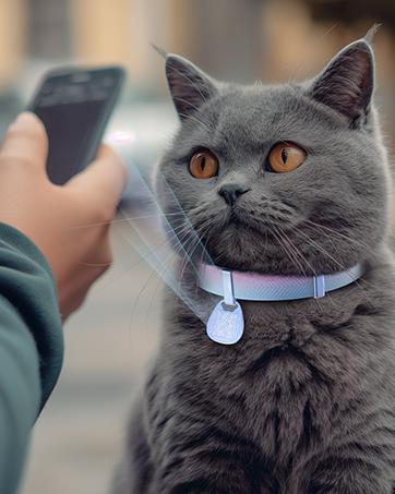 Waterproof Airtag Cat Collar, Breakaway Cat Airtag Collar with Luminous & Reflective Fish Pattern, Lightweight Kitten Collar for Apple Air tag, Hidden GPS Tracker Holder for Cats, Kittens(9-13")