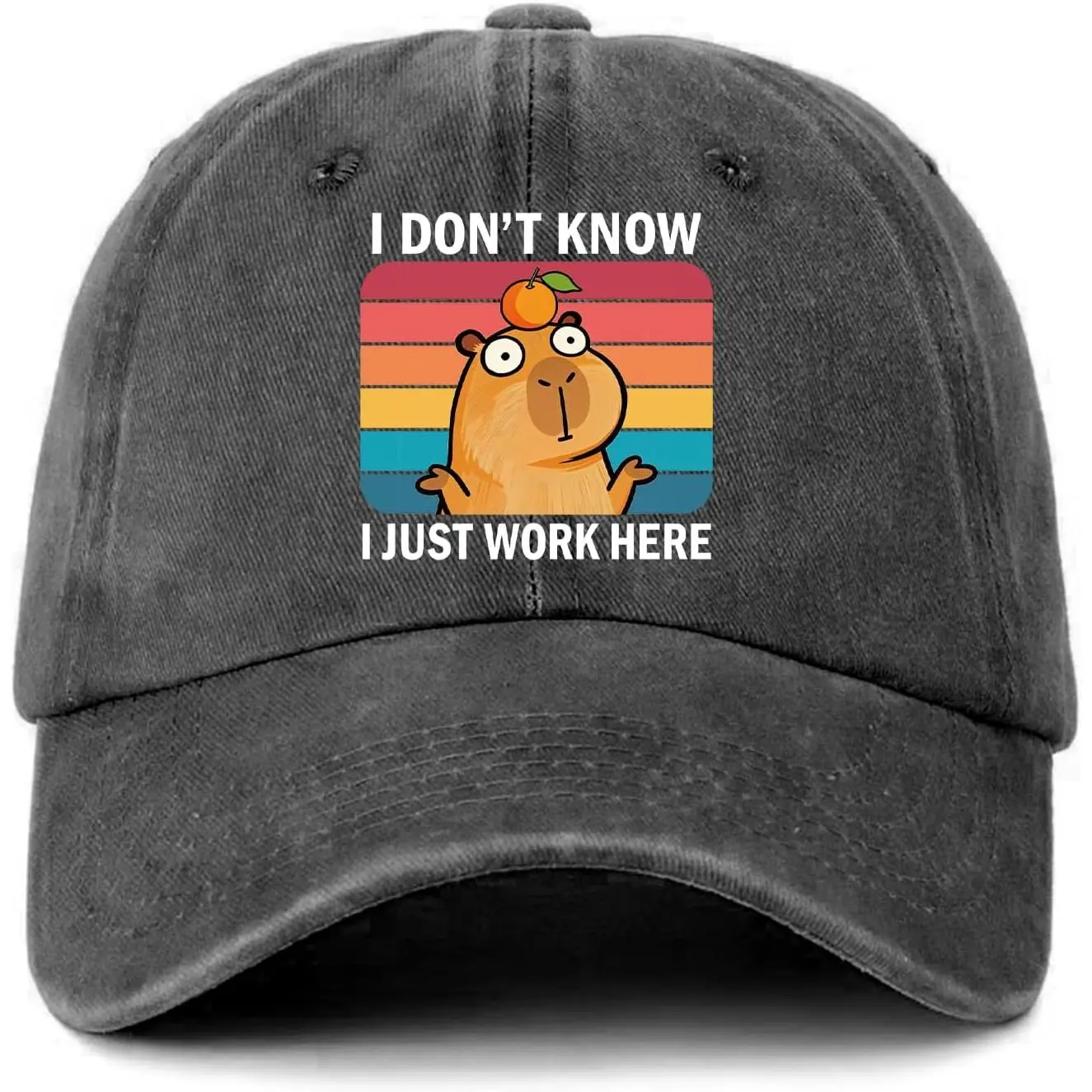 Cute Capybara Printed Hat - I Don't Know I Just Work Here - Women's Adjustable Washed Cotton Baseball Cap - Capybara Lover Gifts - Birthday Gifts for Colleague Work Bestie Multicolor,casual,double,herradura,59