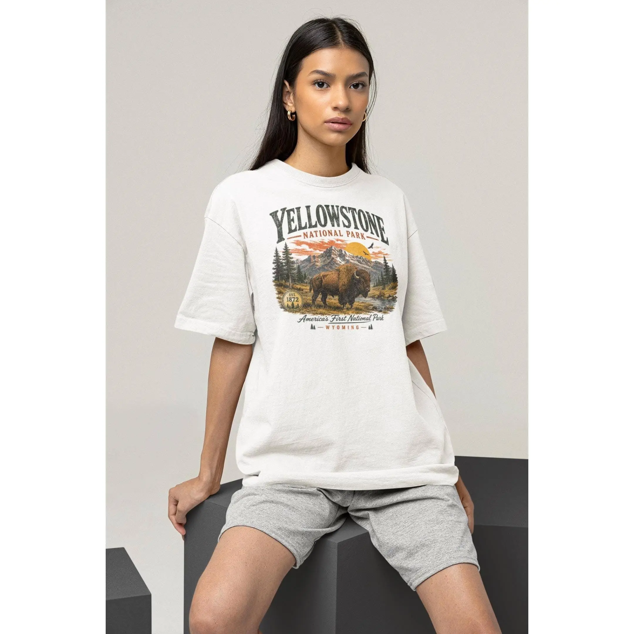 Women's Yellowstone Bison Mountain Vintage Digital Print Oversized Crew Neck T-Shirt - Soft Fabric, Drop Shoulder, Loose-Oversized Cut, Casual Outdoors Hiking Camping Summer Streetwear Top, Graphic, Loose-Fitting, Mountain Scene, Long, Short Sleeve, Cloud