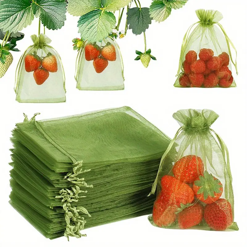 Fruit Protection Bag, 4x6 Inches Fruit Net Pouch with Drawstring, Strawberry Blueberry Small Fruit Pest Barrier, Food Storage Solution