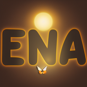 Elegant Niche Accessories