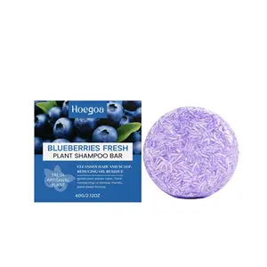 Hoegoa Blueberry Hair Soap, Fruit Plant Extract, Oil Control & Hydrating for Fluffy Smooth Hair