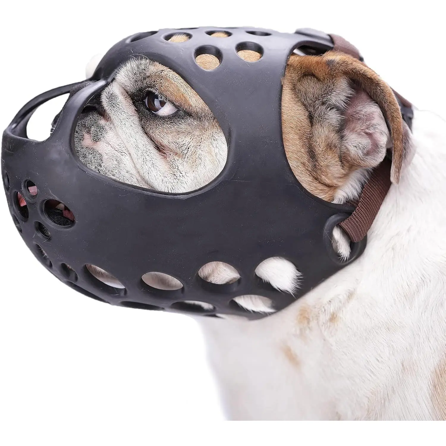 Large Breed English Bulldog Muzzle - Rubber Basket-Type Breathable Short Snout Mouth Guard for Behavior Control, Comfortable Wear, Grooming, Walking (Allows Drinking)