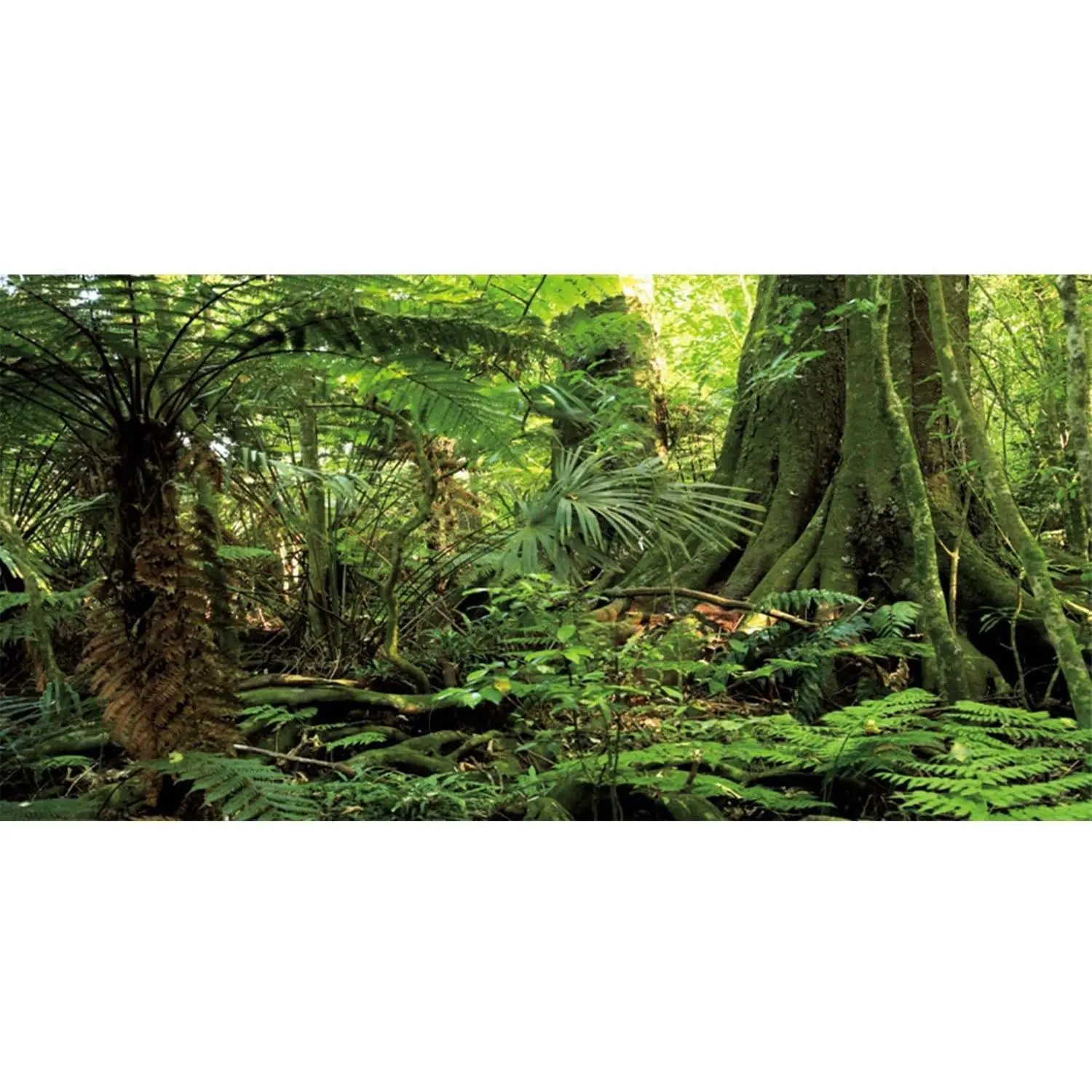 Terrarium Backdrop Green Forest Tree Reptile Habitat Background 24x12 in