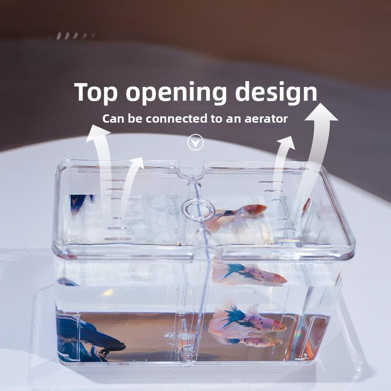 Acrylic Multi Compartment Double Tank Breeding Separation Fish Tank with Dividers Aquarium Table Style Small Fish Tank