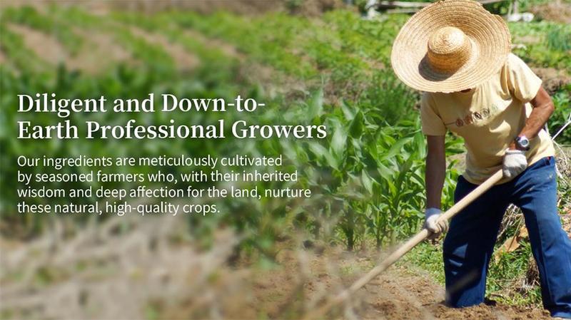 JuXingPu Blood Balance Tea - 6g*20 Antihypertensive Herbal Tea Blend with Pueraria Cassia Seeds Hawthorn Orange Peel Mulberry Leaves Astragalus & Bitter Melon for Healthy Blood Pressure Support