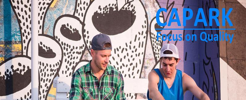 Skateboards for Beginners Adults Youths Teens Kids Girls Boys 31 Inch Pro Complete Skate Boards 7 Layer Canadian Maple Double Kick Concave Longboards