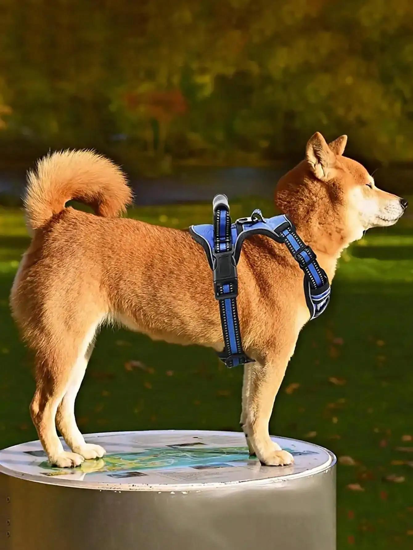 US LOCAL STOCK No Pull Tactical Service Dog Harness Leash Set Car Seatbelt Folding Bowl Degradable Garbage Bags for Dogs