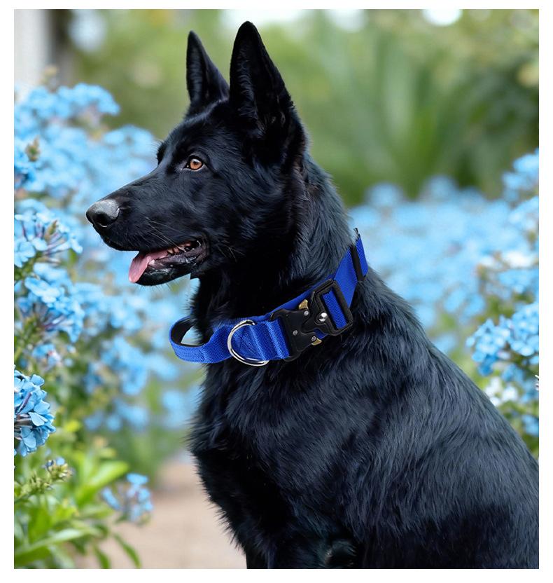 Premium Heavy-Duty Nylon Dog Collar - Extra Wide, Padded, with Stainless Steel Buckle Adjustable Pet Collar, Durable Dog Collar for Medium Large Dogs Cats for Outings, Dog Supplies, Pets Supplies, Christmas Gift