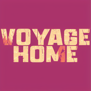 Voyage Home1
