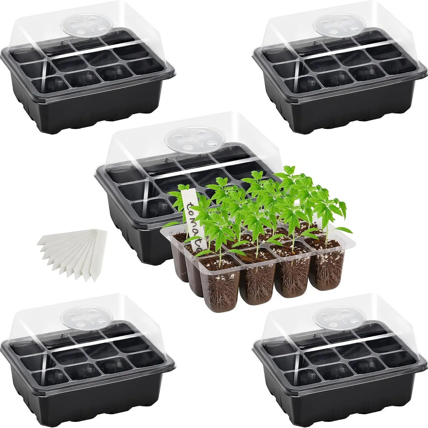 5-Piece Seed Starting Tray Set, Humidity Dome, Base, 12-Hole Trays, Ideal for Germination, Gardening Supplies, Planting Essentials