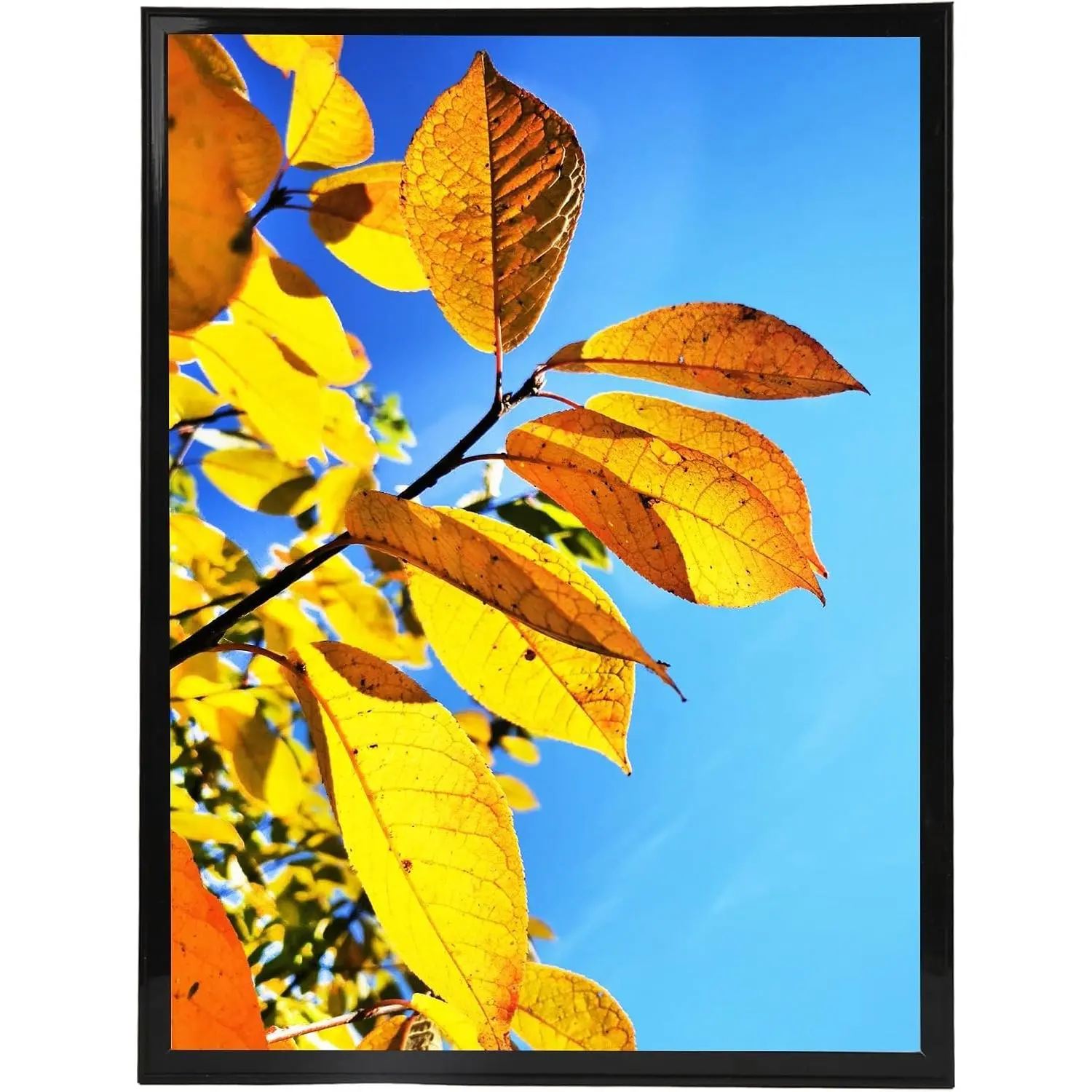 20x30 Picture Frame Black, Studio Gallery Collage Poster Frame, Wall