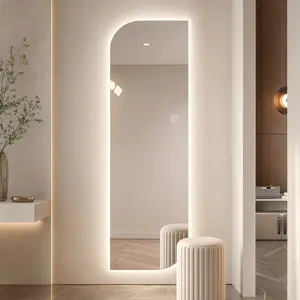 ARCH 65x21 Inch LED Full Length Wall Mirror Irregular Shape Dimmable 3 Color Lighting 5mm Copper-Free Silver Glass Hardwired or Plug-in for Entryway Bedroom Salon Modern Design, Silver Color Options, Glass Material, Modern Style, Product Dimensions: