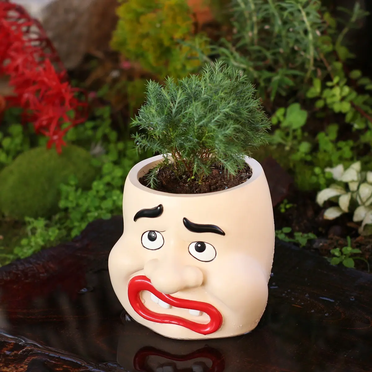Funny Large Mouth Resin Planter, Creative Succulent Pot, Micro Landscape Desktop Flower Pot, Novelty Small Plant Container