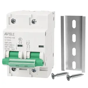 Miniature Circuit Breakers DC 500V 100Amp 2Pole Circuit Breaker for Solar Photovoltaic Systems, DIN Rail Mount High Current DC Disconnect Switch