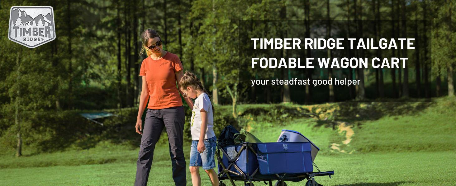 Tailgate Collapsible Folding Wagon Cart, Push Pull Beach Wagon Foldable, Grocery Cart with Side Pockets for Camping,, Shopping, Holds 225 lbs, Blue