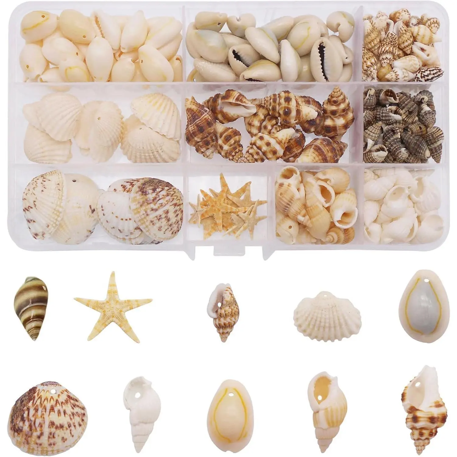 10 Styles  Sea Shells & Starfish Set -  Pre-Drilled Beach Seashells for DIY Crafts,  Decor,  Making & Wedding Party Decorations