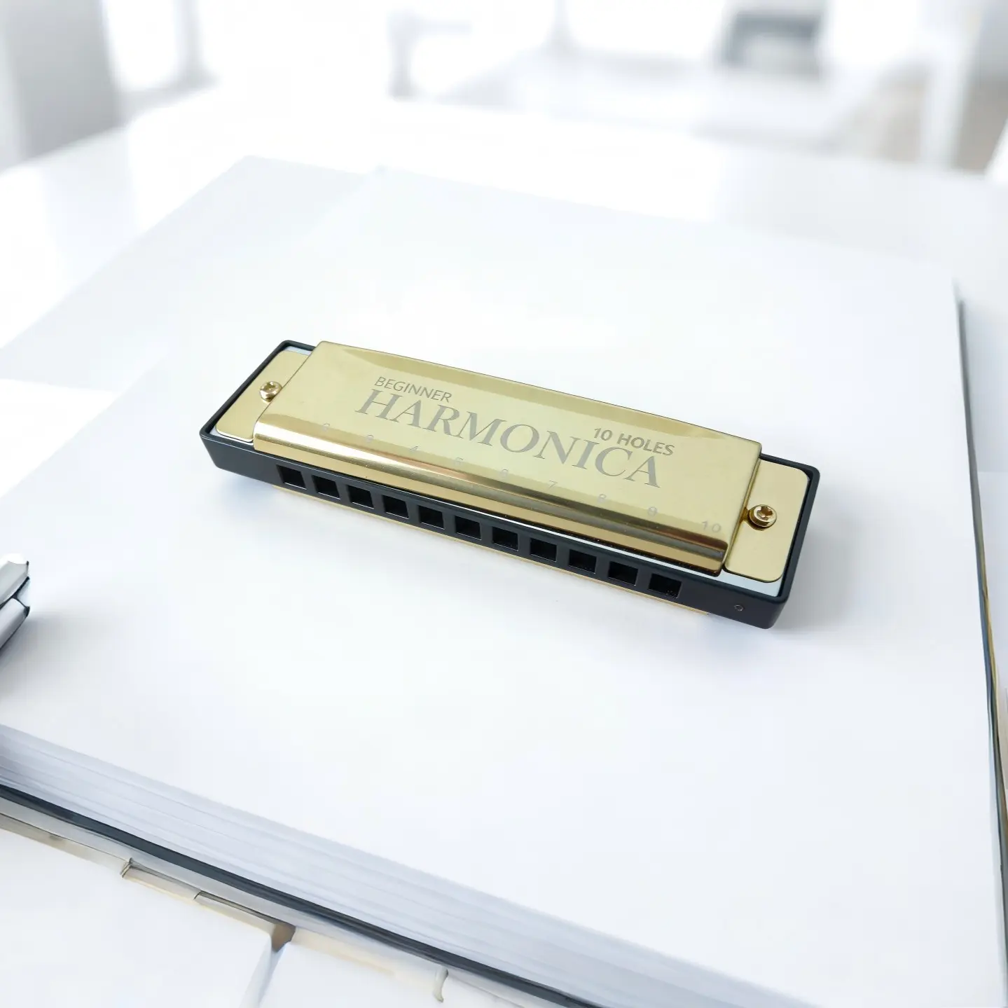 Blue Harmonica, 10 Hole C Key Melodic Harp, Easy to Play for Beginners, Includes Storage Box, Ideal Musical Instrument for Music Lovers