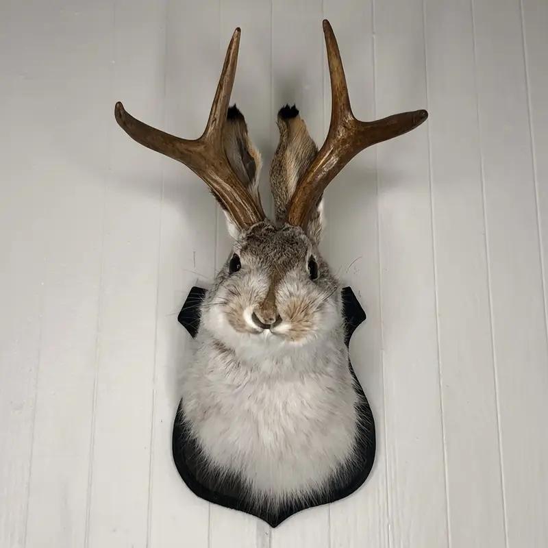 Jackalope Resin Head Wall Hanging Ornament, Animal Specimen Style Wall Art, Home Decoration, Unique Gift Ideas, Hangable, Wall Ornaments