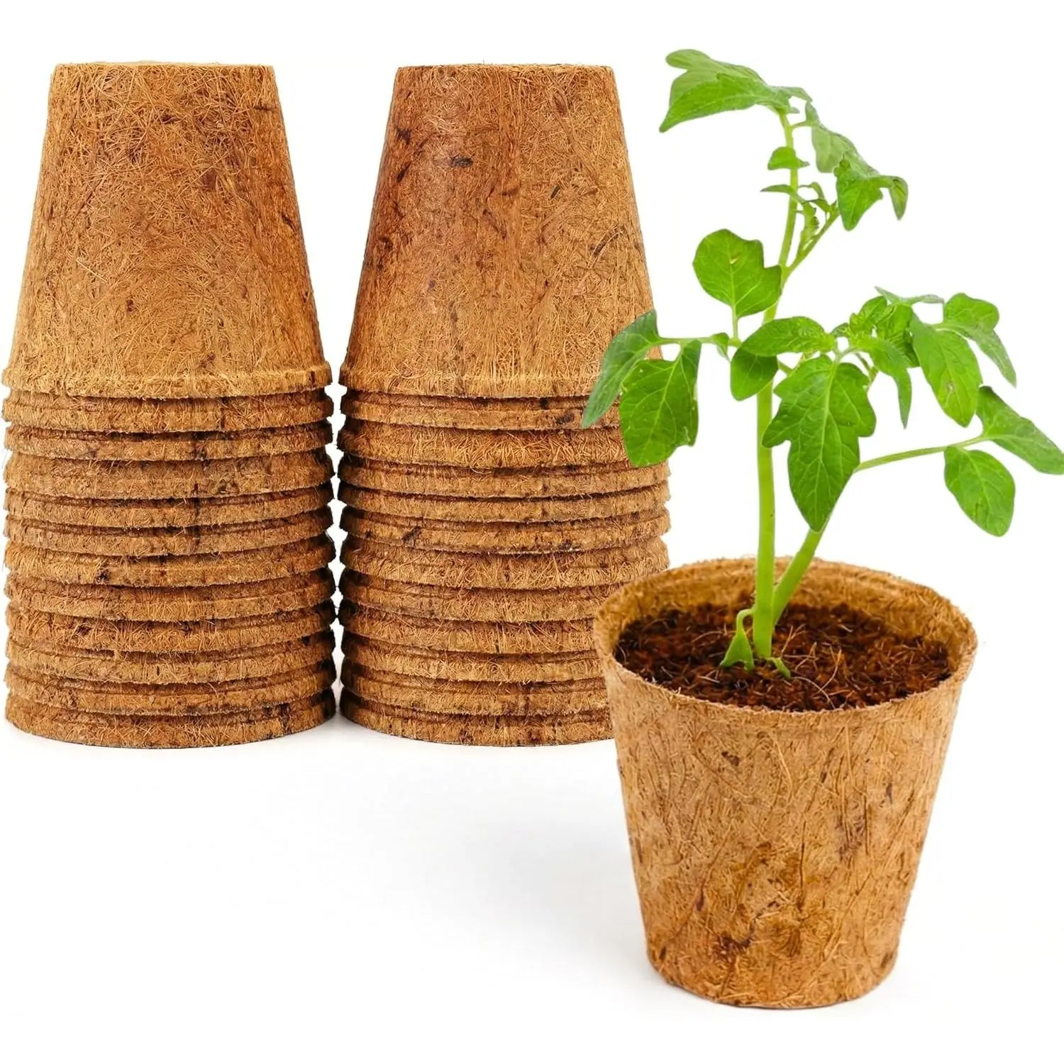 3.25 Inch Coconut Coir Biodegradable Pots – 22 Pack, Plantable Seed Starter Pots, Peat-Free, Sustainable Growing Containers