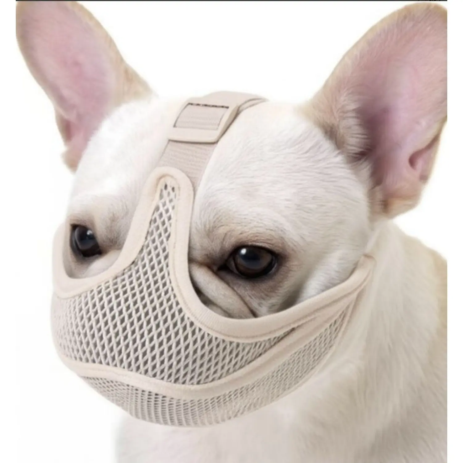Breathable Mesh Dog Mouth Cover, Muzzle, Prevents Chewing and Eating, Ideal for Bulldogs and Pugs, Small to Medium Dogs, Outdoor Use