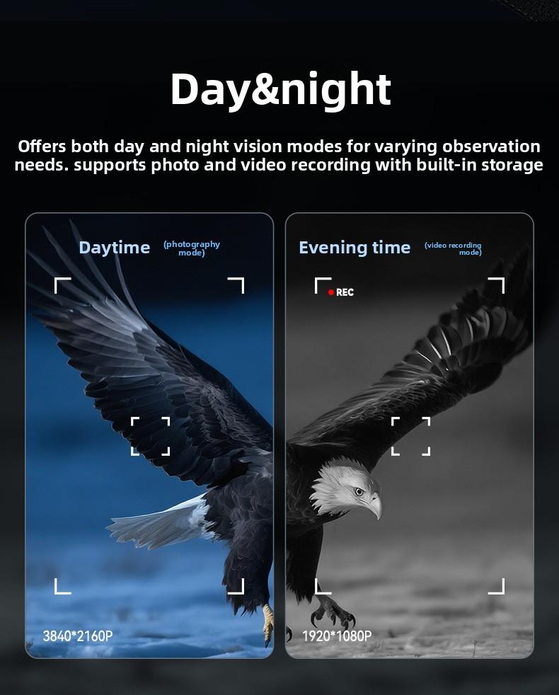 4K Digital Night Vision Binoculars with 800m Range - High Definition Infrared Camera for Camping, Hunting, and Wildlife Observation - Rechargeable