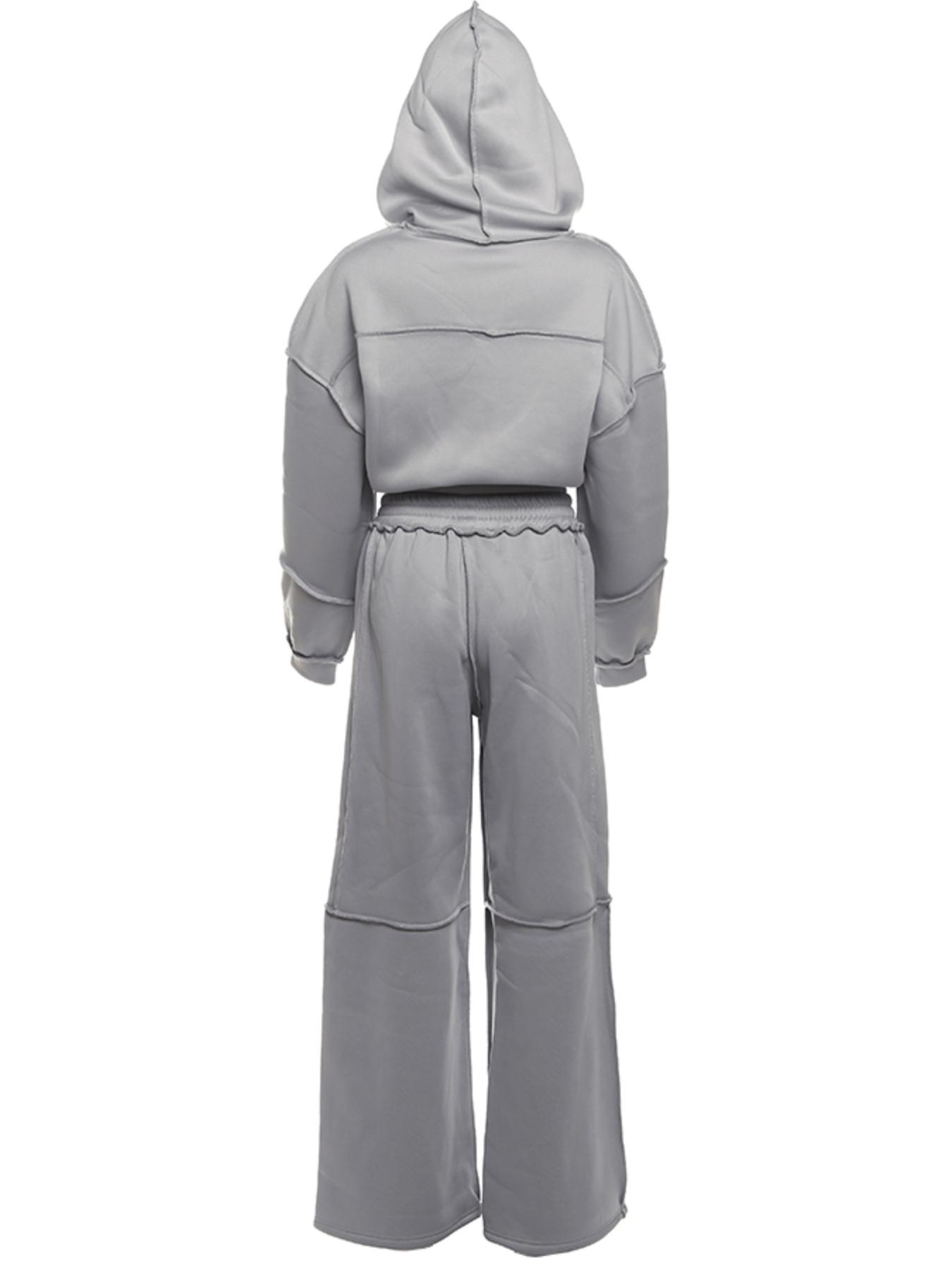 Women's Solid Zip Up Hooded Sweatshirt & Pocket Elastic Waist Pants Two-piece Set, Casual Outfits Women, Casual Drop Shoulder Long Sleeve Top & Trousers for Fall & Winter, Women's Clothes for Daily Wear, Brown,Airport Outfit