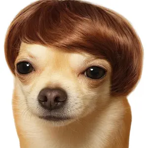 High Quality Dog Wig - Pet Hair Accessory for Small Dogs, Cat Costume Apparel for Halloween, Festivals, Adds Laughter for Neighbors, Easter Party Decor (A)