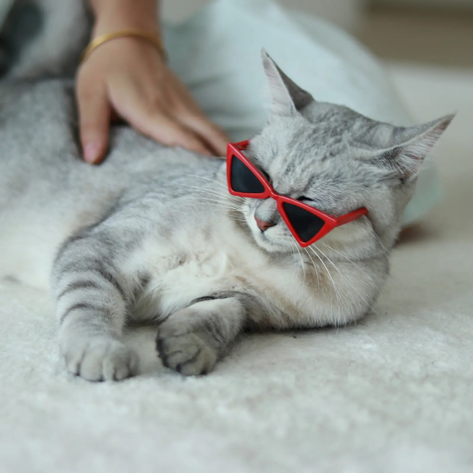5Pcs/4Pcs Stylish triangular pet sunglasses, trendy decorative eyewear for small dogs and cats. Cool creative accessories perfect for photoshoots and daily outdoor looks.