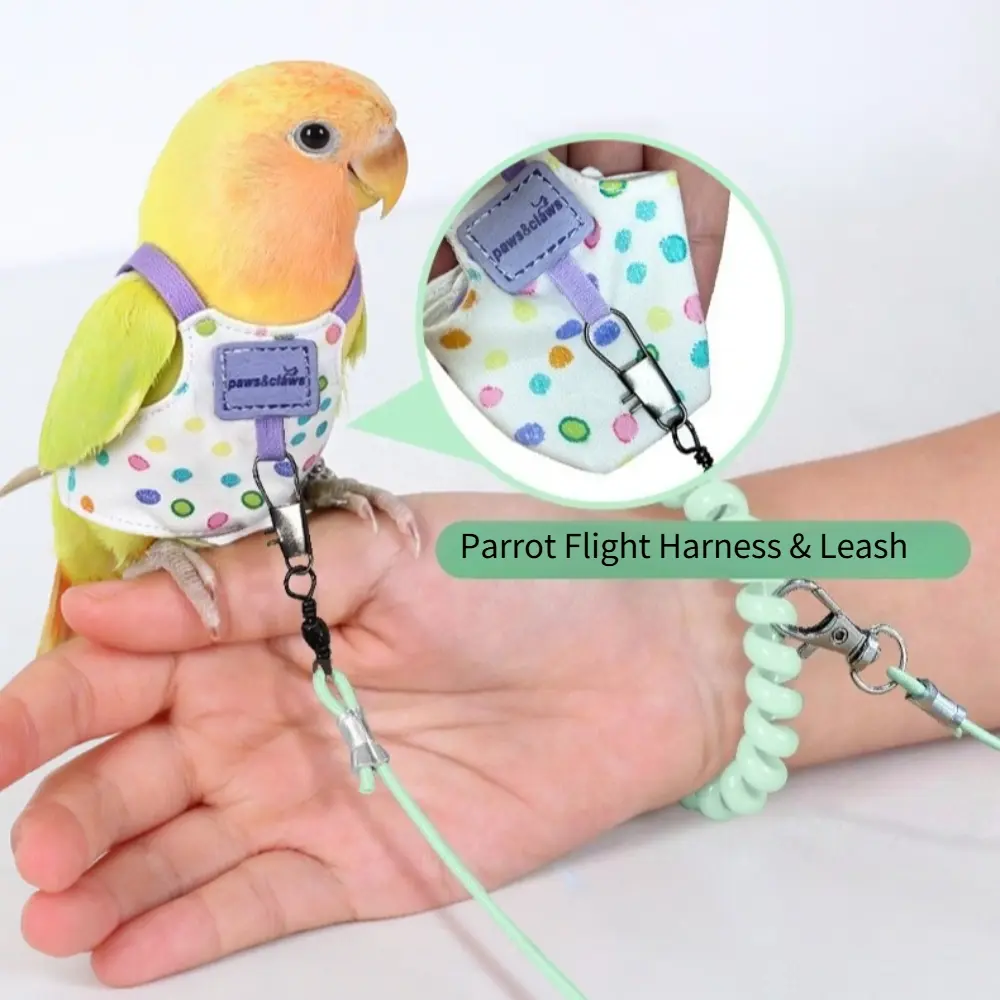 Ultra-Light Parrot Harness, Ideal for Large-Headed Tiger Barbet & Pheasant, Outdoor Carrier, Anti-Loss Flight Suit, Easy-To-Carry Design, Supplies
