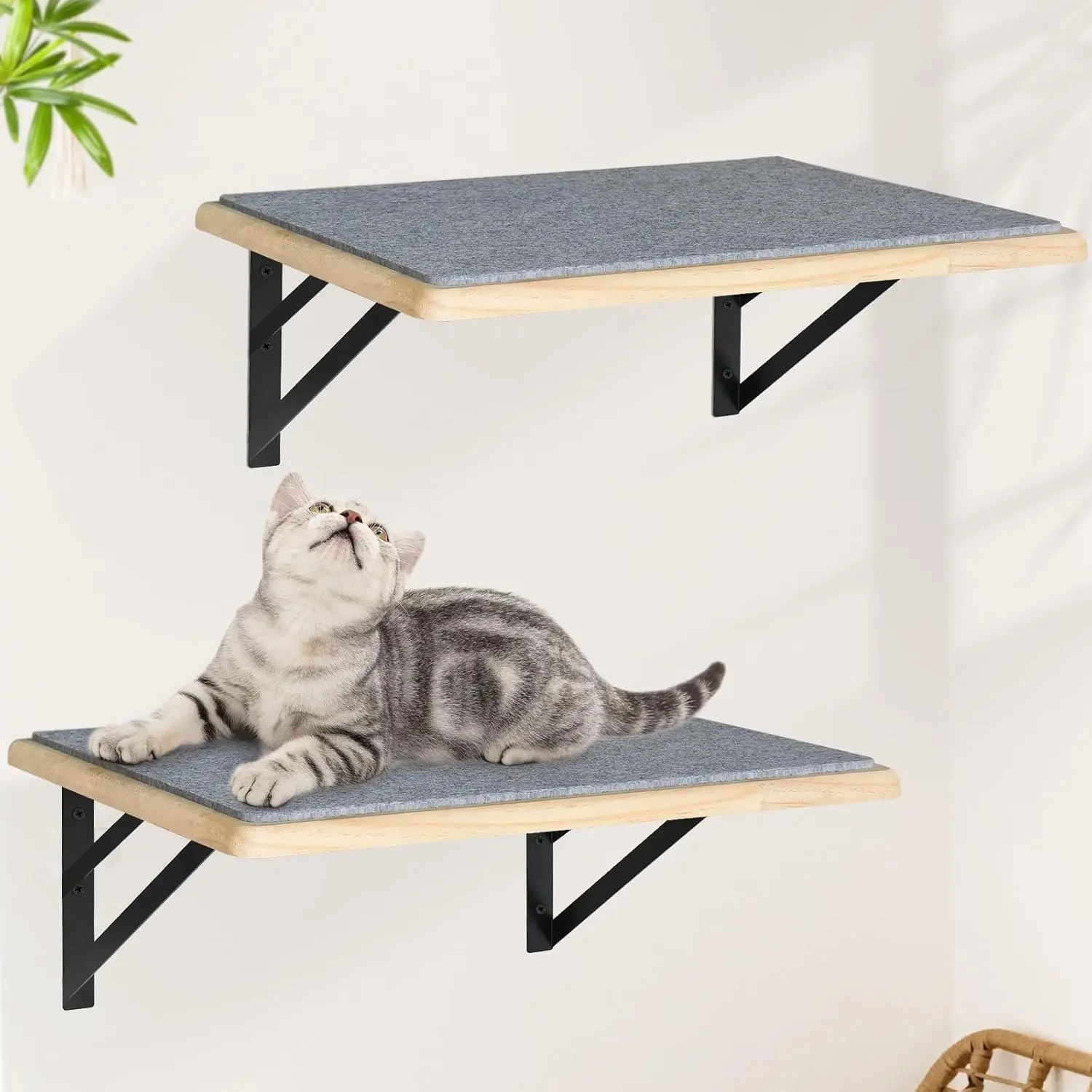 Indoor 2-Piece Wood Cat Shelf Set with Scratch Pad, Window Perch, Climb-Sleep-Play Functions for Large Cats
