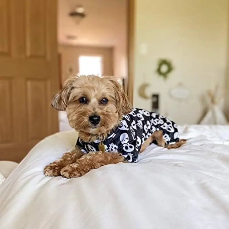 Dog Christmas Halloween Skull Sleepwear, Soft Puppy Onesie, Comfortable Pet Clothing, Cat Costume, Cozy Dog Husky Clothes