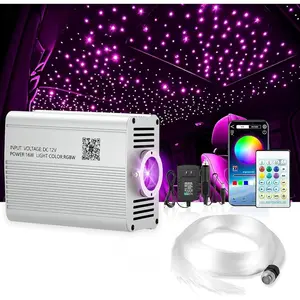 Starlight Headliner Kit - 800 count 0.02in 9.8ft Fiber Optic  Lights for  with 16W RGBW, Twinkle &  Sync, APP/Remote Control for  Roof/Bedroom Ceiling