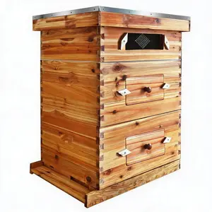 10-Frame Bee Hive Starter Kit for Beekeepers Dipped in 100% Beeswax with Acrylic Window, Beehives Frames and Wax Foundations for Beginner Beekeepers, 2 Deep Box and 1 Medium Bee Box