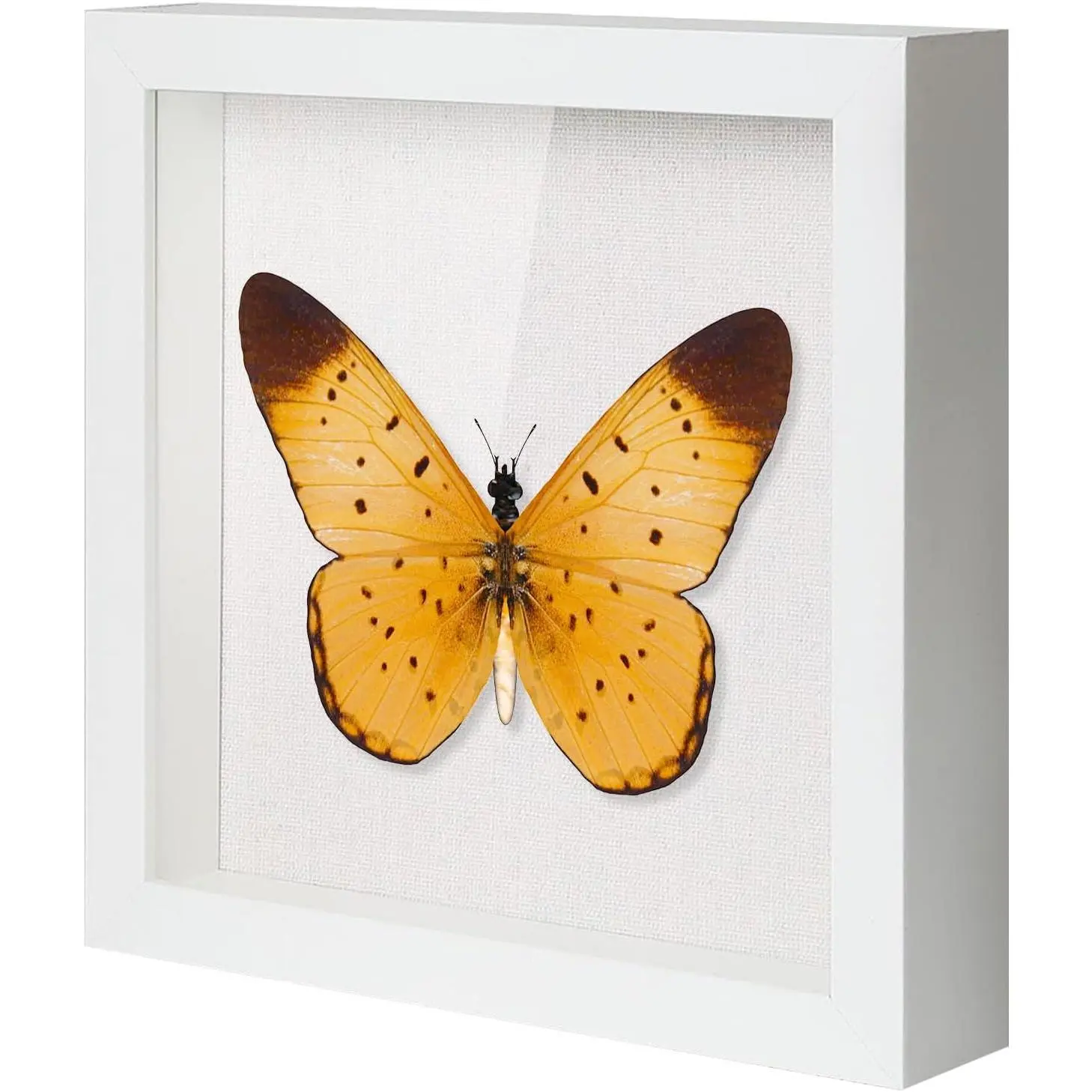 10x10 Shadow Box Frame with Linen Backboard & Real Glass,  Display Case, Deep  to Hang The Photos, Tickets, Wedding Bouquets, Medals,   Memorabilia,White