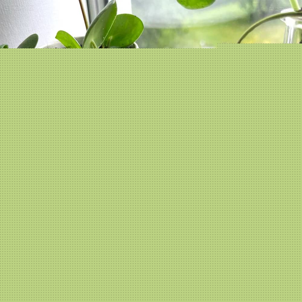 Saiki K Japanese Anime 32/44/58mm Round Cartoon Brooches Handmade Pins For Backpack Jewelry Accessories Gifts Creative Badge