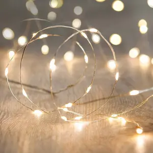 LED Fairy String Lights, 10Ft/3M 30leds Firefly String Lights Garden Home Party Wedding Festival Decorations Crafting Battery Operated Lights, Warm Whitefidget toys