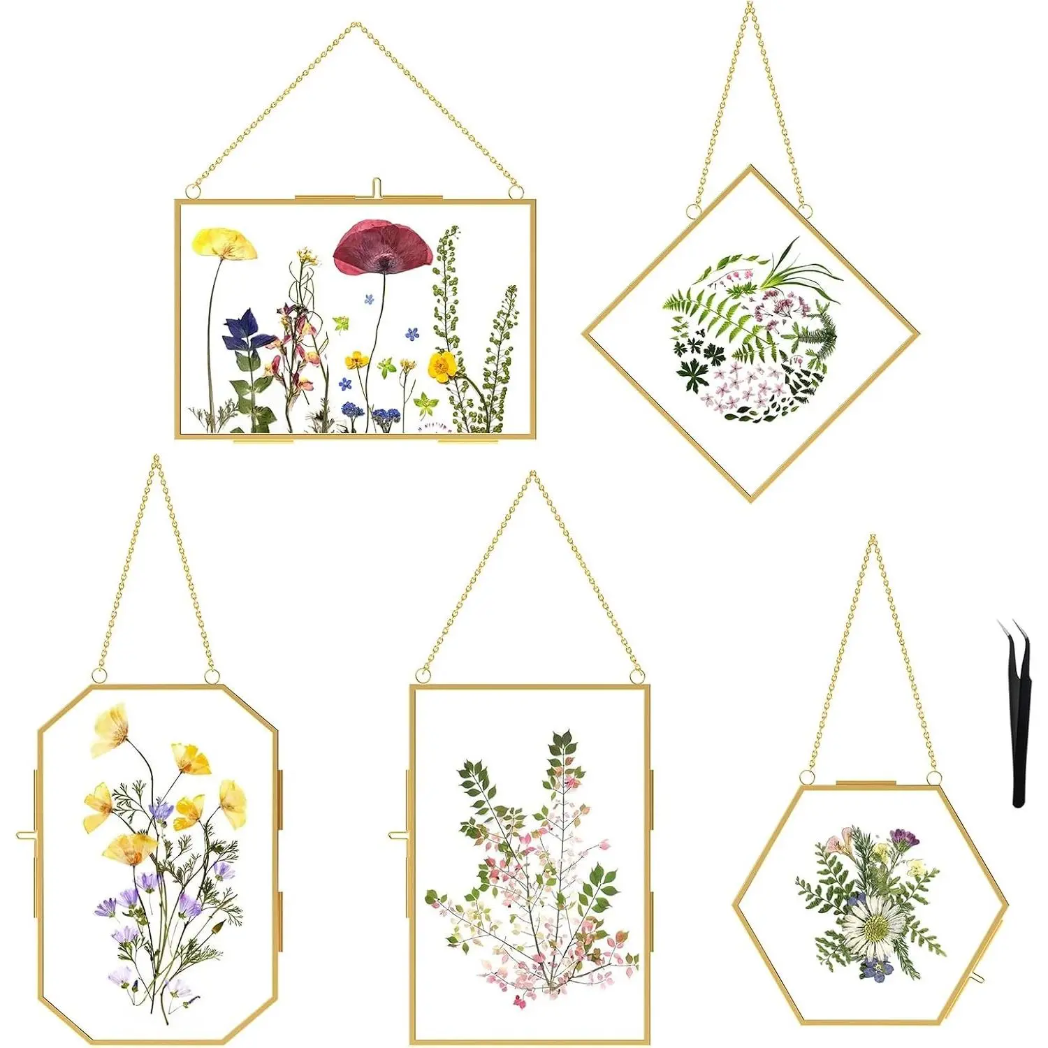 5 Pcs Pressed Flower Frames with Tweezers, Wall Hanging Tabletop Display Double Glass Frames with Metal Chain for Dried Flowers Plants, Horizontal Vertical Picture Frame, GoldenGift