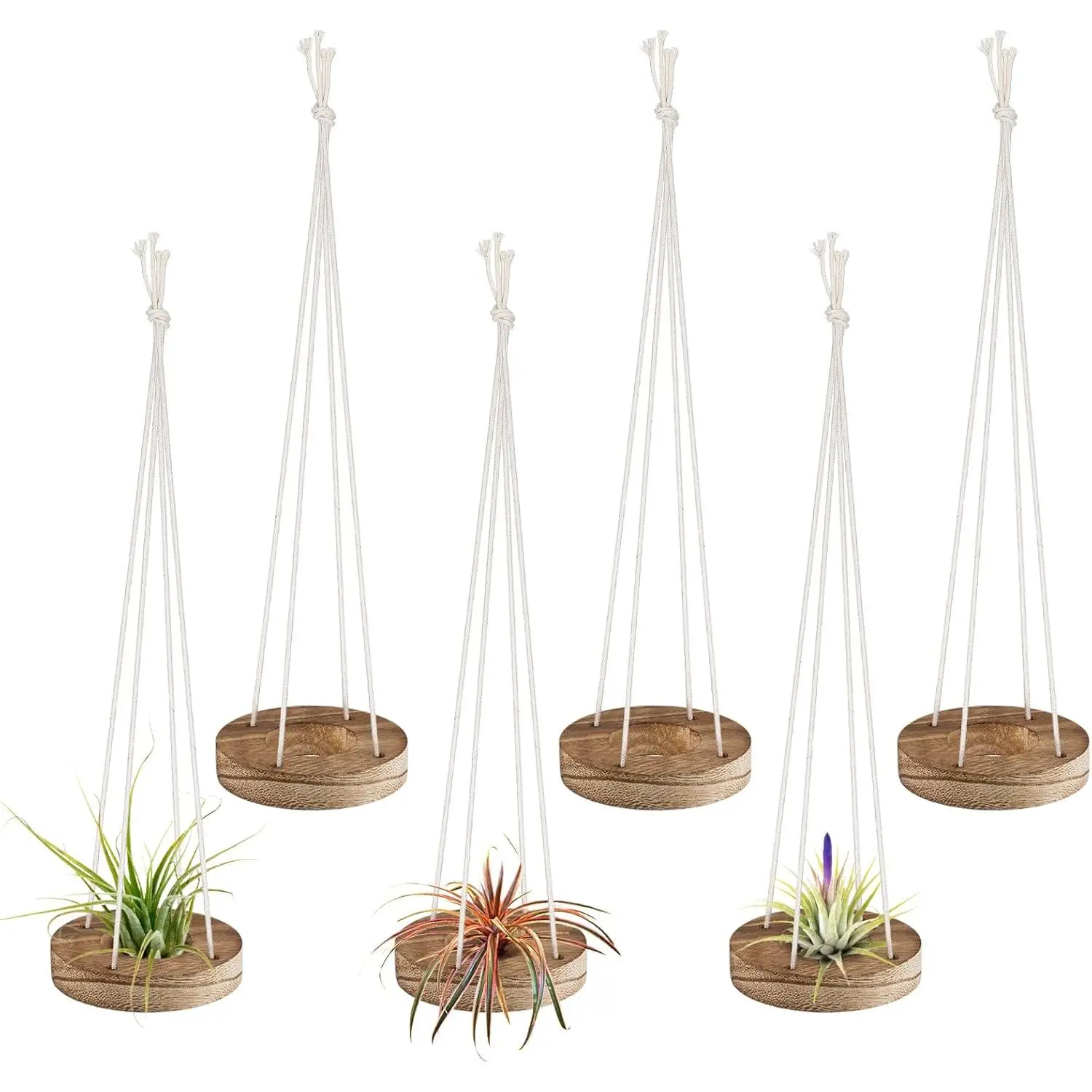 6 count  Wooden Air  Holder with Ropes, 3" Dia, No  | Round Airplants Live Hanger, Rustic Tillandsia Succulent Display Container Stand for  Office Decor Housewarming