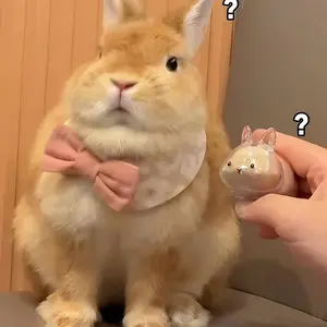 1pc Adorable Rabbit hair Storage Box, Rabbit hair Keychain, Pet Hair Keepsake Capsule - Suitable for Cat and Rabbit hair Collection Jar, Creative Gift for Pet Lovers