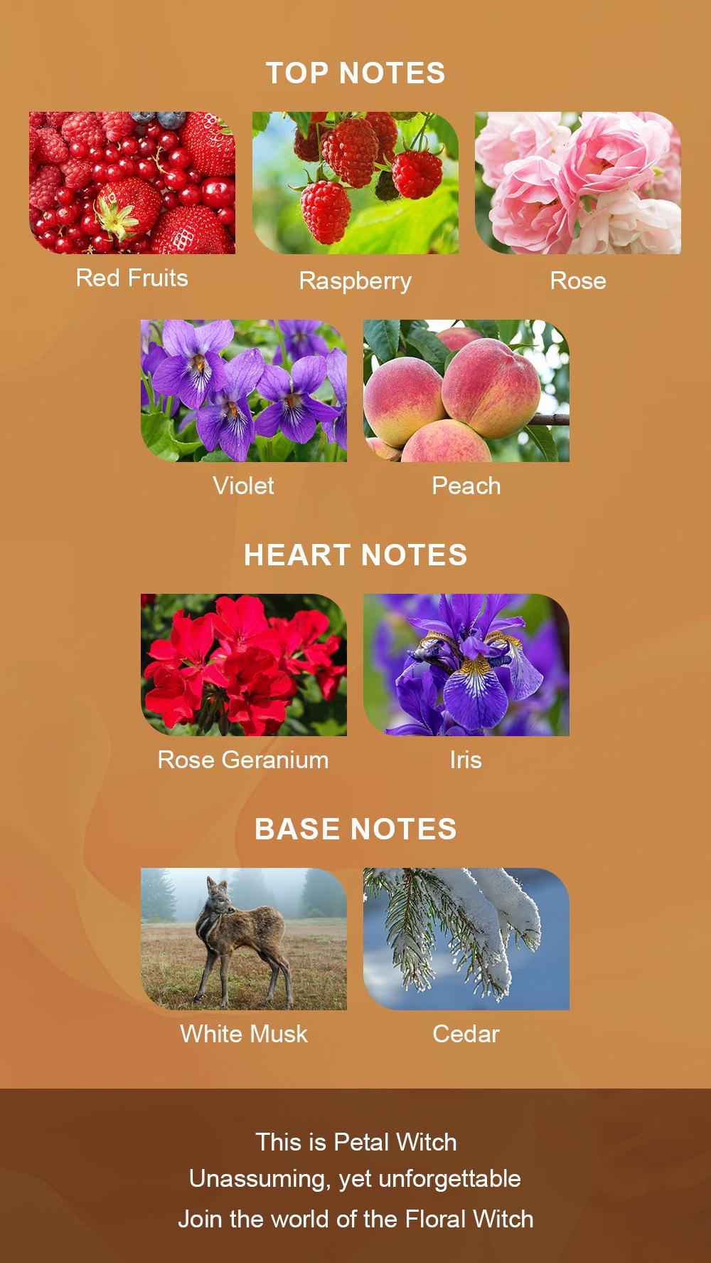 BELLIVA Women's Eau de Perfume 50ml - Long Lasting Floral Fragrance with Orange Blossom, Jasmine & Vanilla Notes